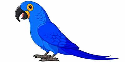 Про попугая Эрни, который заболел корью