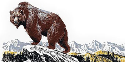 Аудиорассказ Жизнь серого медведя