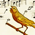 Музыкальная канарейка