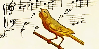 Музыкальная канарейка