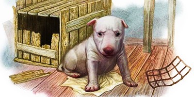 Аудиорассказ Снап