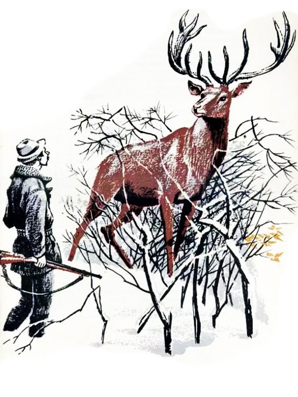 Аудиорассказ «По следам оленя»