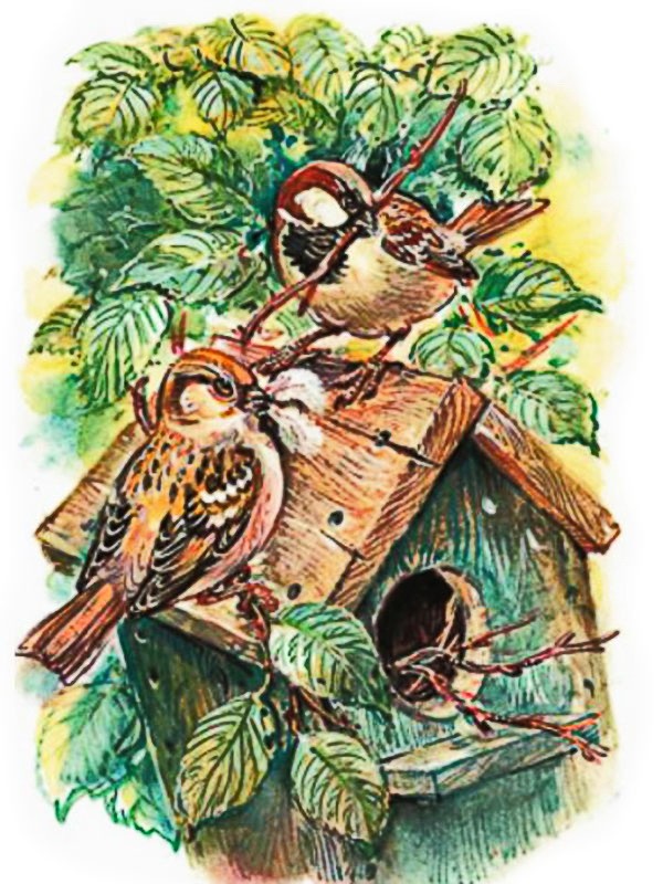 Аудиорассказ «Уличный певец»