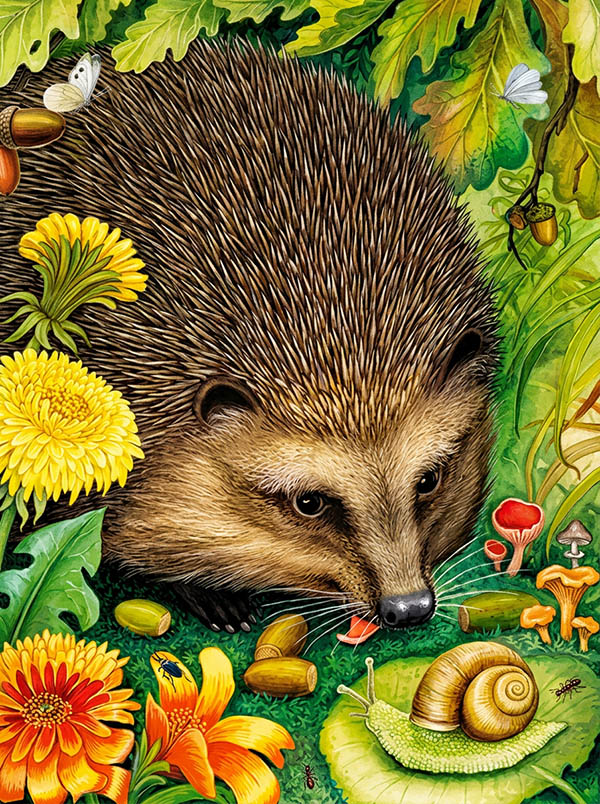 Лесной колобок – Бианки В.В. (аудиоверсия)